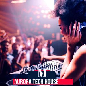 Aurora Tech House