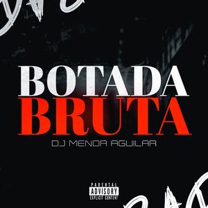 BOTADA BRUTA (Explicit)