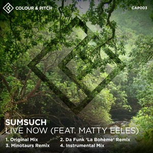 Live Now (Vocal Mix)