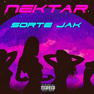 NEKTAR (Explicit)