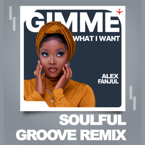 Gimme What i Want (Soulful Groove Remix)