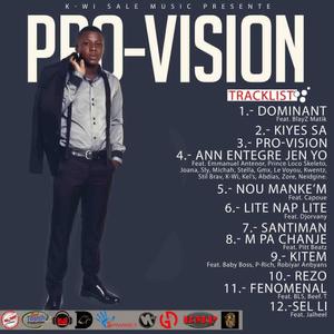 Pro-Vision (Explicit)