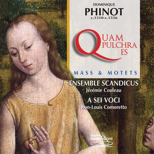 Dominique Phinot : Messe quam pulchra es & Motets