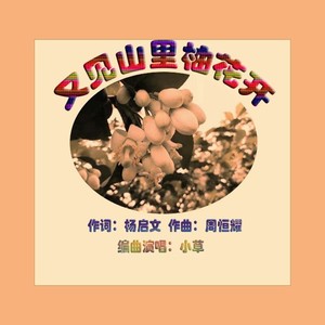 又见山里柚花开-舞曲