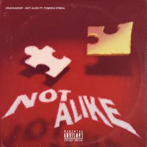 Not Alike (feat. Tomoka O'Neal) [Explicit]