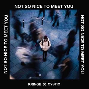 Not So Nice To Meet You (feat. Kringe)