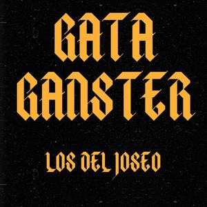 Gata Ganster (Explicit)