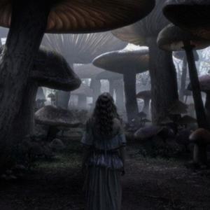 wonderland (Explicit)