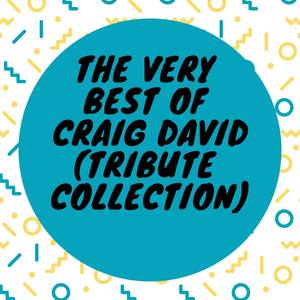 The Very Best Of Craig David (Tribute Collection)