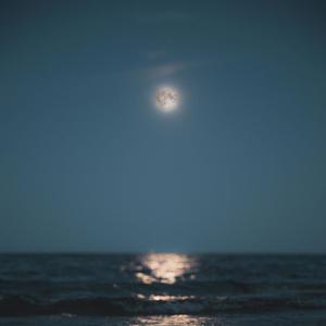 Come Along with me(lofi)