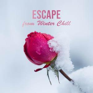 Escape from Winter Chill