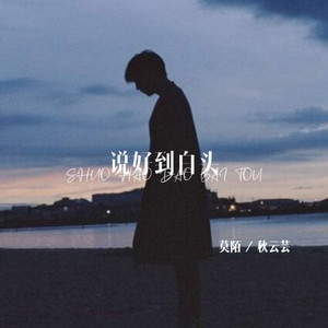 说好到白头