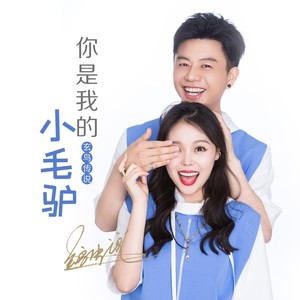 你是我的小毛驴