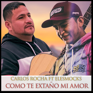 Como te extraño mi amor