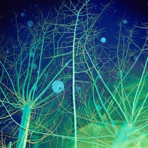 La Guerra (sott'acqua)