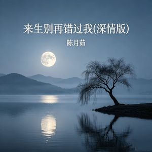 来生别再错过我 (深情版)