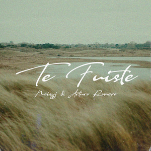Te Fuiste