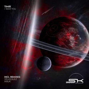 I Want You (Original Mix)