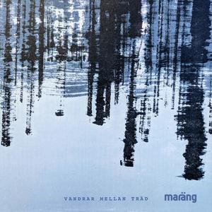 Vandrar mellan träd