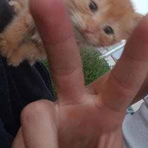 yah yeat (feat. Godz) (Explicit)