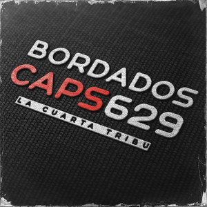 Bordados Caps 629