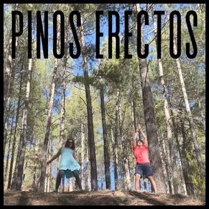 Pinos Erectos (feat. J Vida, Dystorizon & Fana)