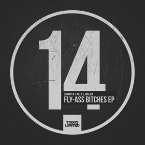 Fly-A** B**ches (Original Mix)