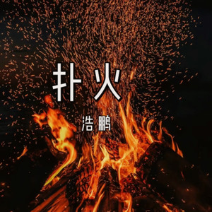 扑火 (Live)封面