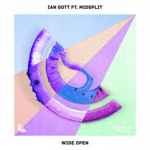 Wide Open(feat. Midsplit)