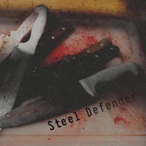 Steel Defender