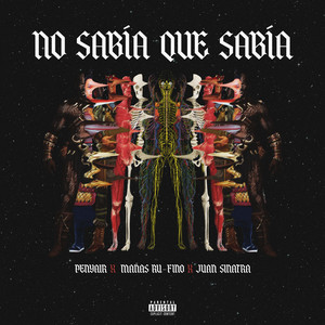 No Sabía Que Sabía (Explicit)