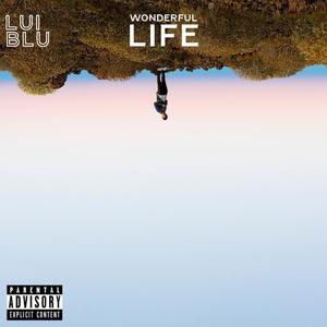 Wonderful Life (Explicit)