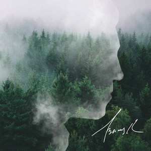 Здесь лапы у елей дрожат на весу (Remix)