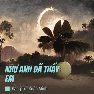 Như Anh Đã Thấy Em