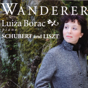 Schubert / Liszt: Wanderer