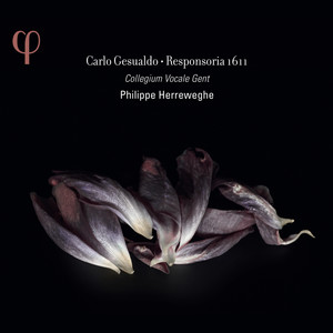 Feria Quinta, Tenebrae Responsories for Maundy Thursday - Tenebrae Responsories, Feria quinta: IX. Seniores populi