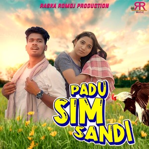 Padu Sim Sandi
