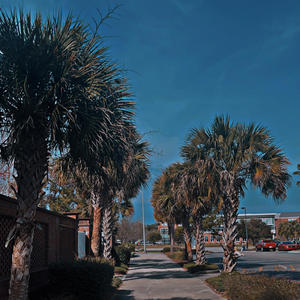 In and Out of Bounds (Explicit)