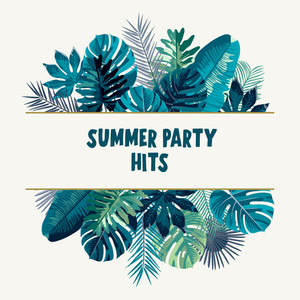 Summer Party Hits (Explicit)