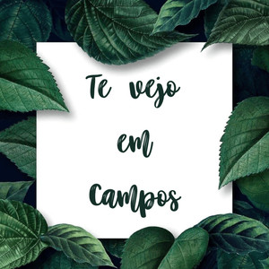 Te vejo em Campos