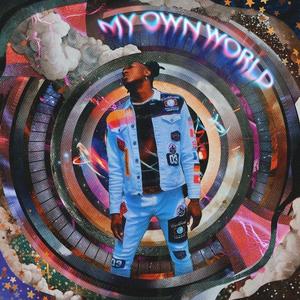 To The Wild (Explicit)