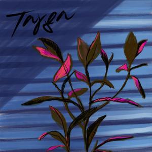 There is nothing there