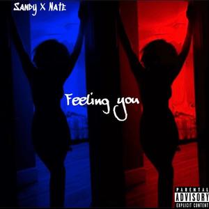 Feeling You(feat. Nate) (Explicit)