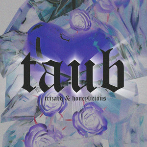 Taub (Explicit)