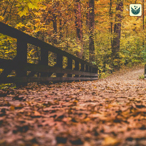 Soliloquy in C Major