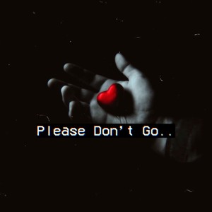 Please Don't Go (feat. LayloeTravo & MaritheKid)