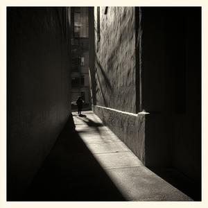 Live Shows (Live|Explicit)