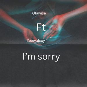 I’m sorry (feat. Zeewalexy) (Explicit)