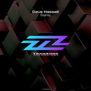 Osprey (Original Mix)