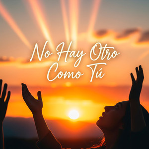 NO HAY OTRO COMO TU